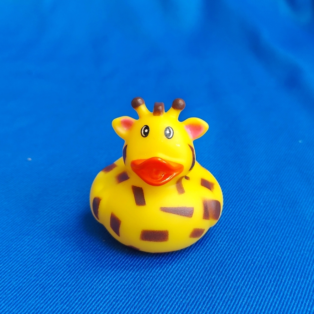 #18 Duck For Duck Duck Plushie Game